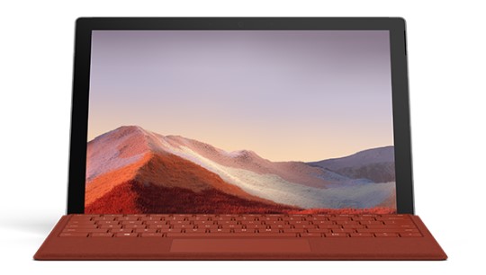 新抚清洁和维护 Surface